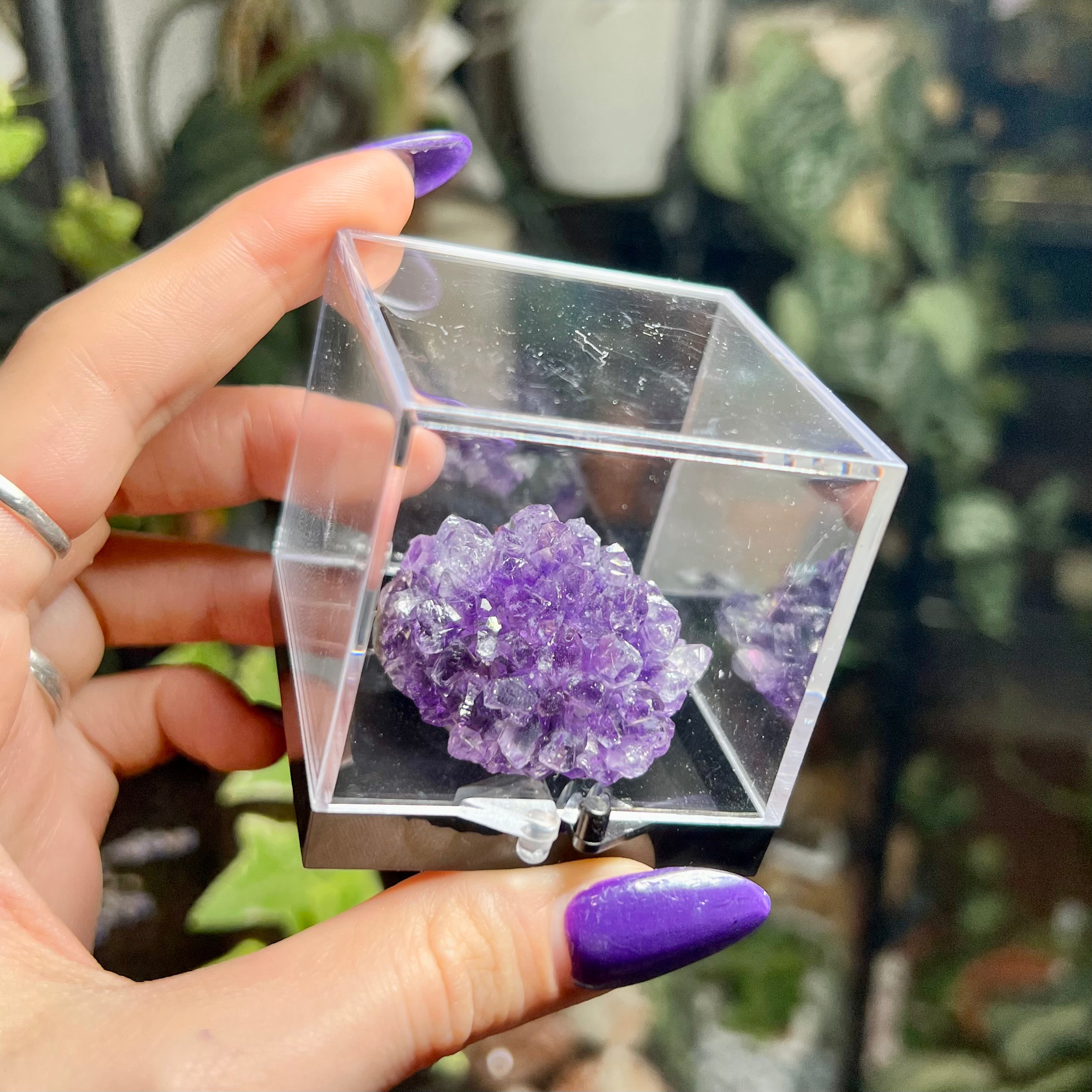 Flower Amethyst Collector Box