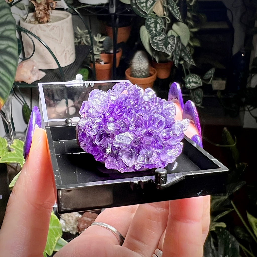 Flower Amethyst Collector Box