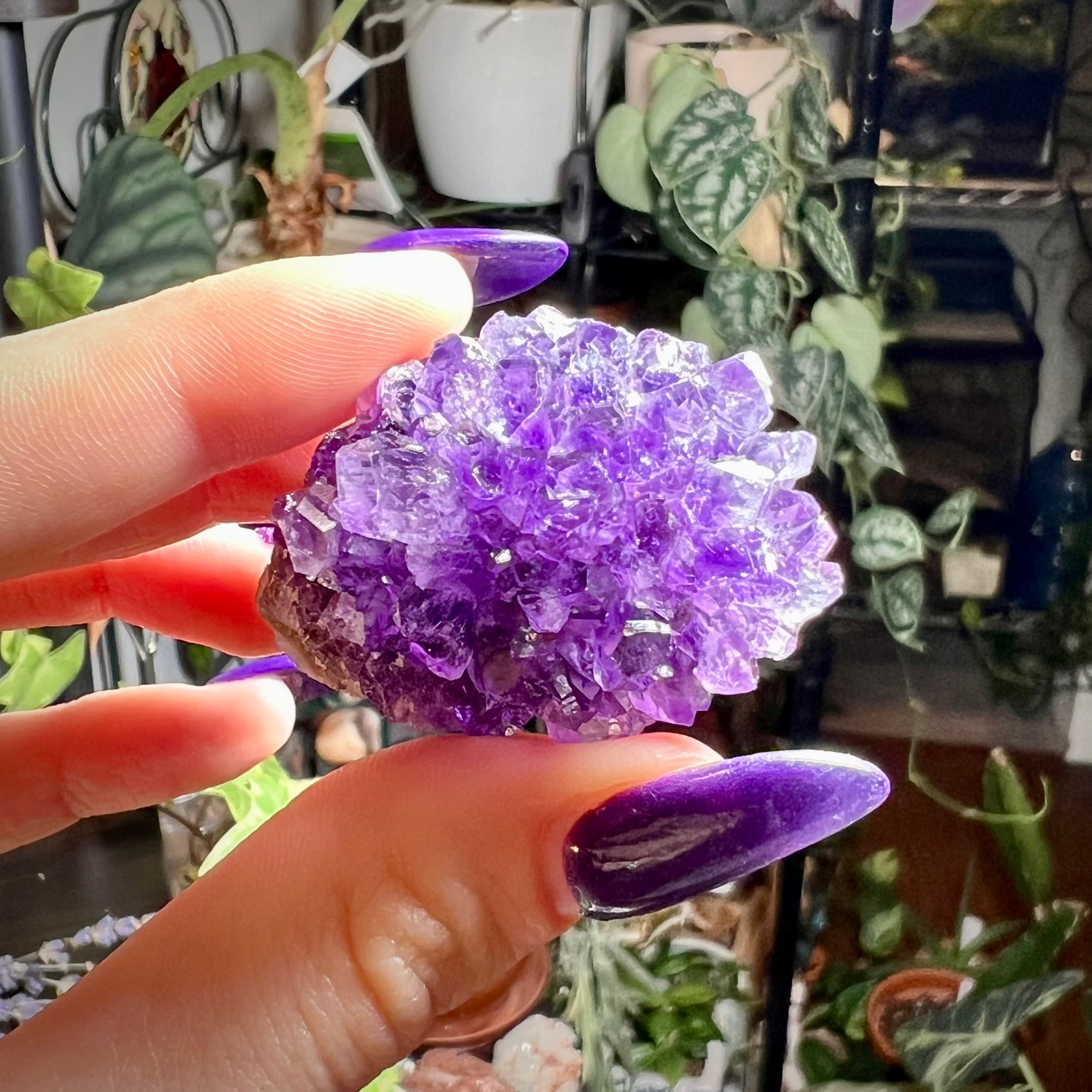 Flower Amethyst Collector Box