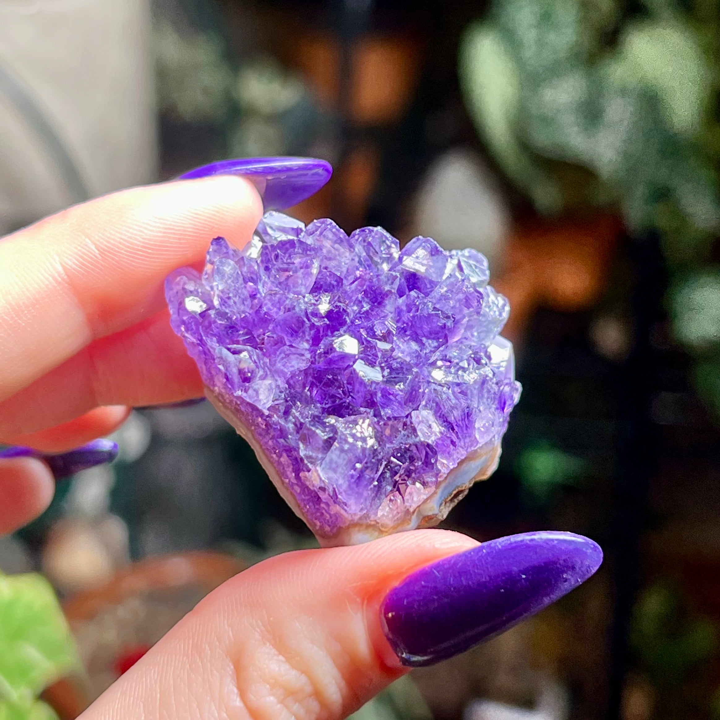 Flower Amethyst Collector Box