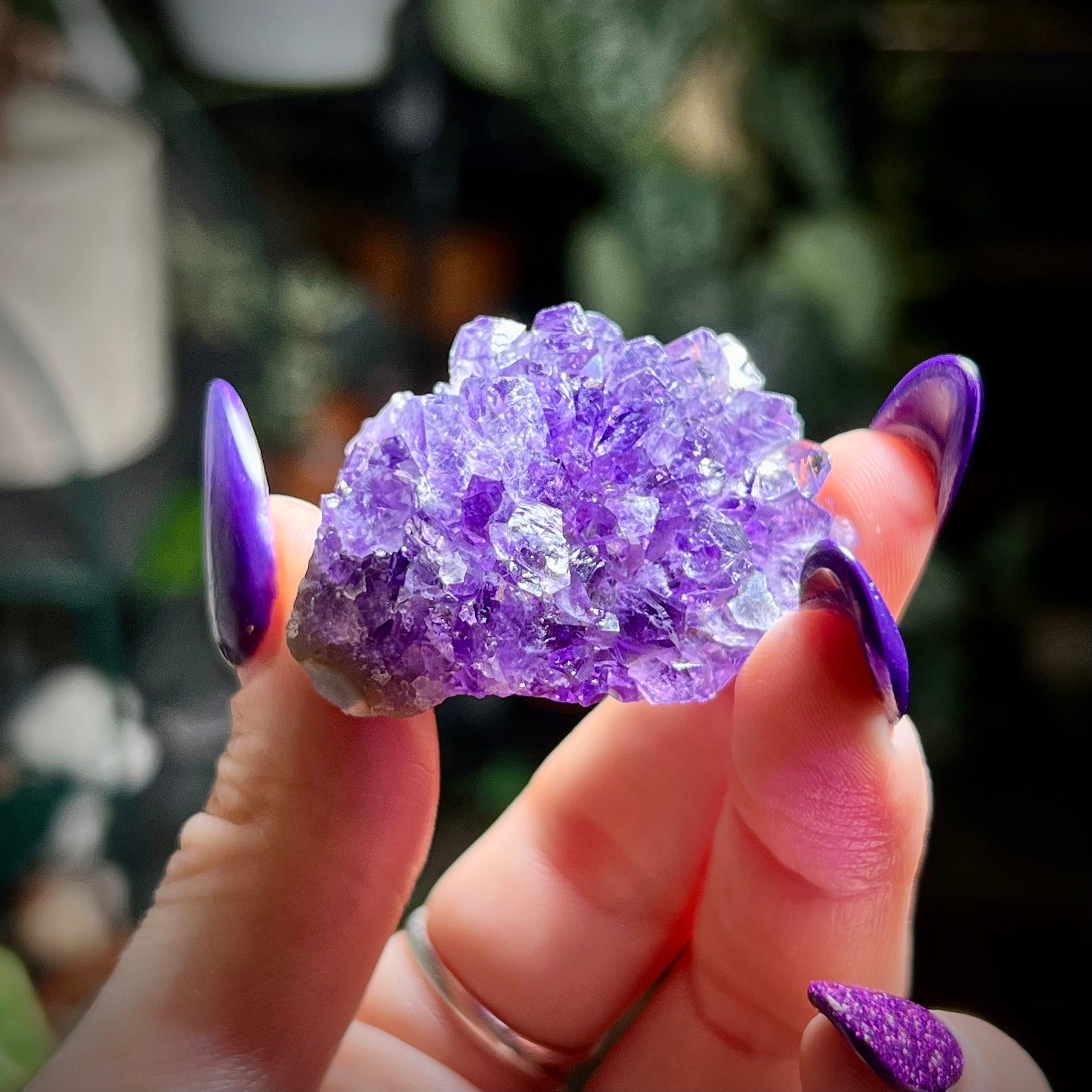 Flower Amethyst Collector Box