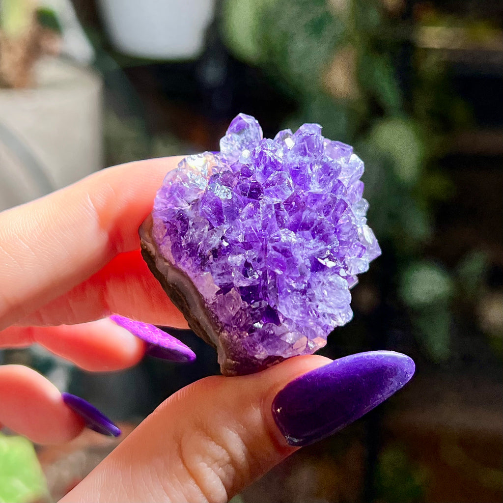 Flower Amethyst Collector Box