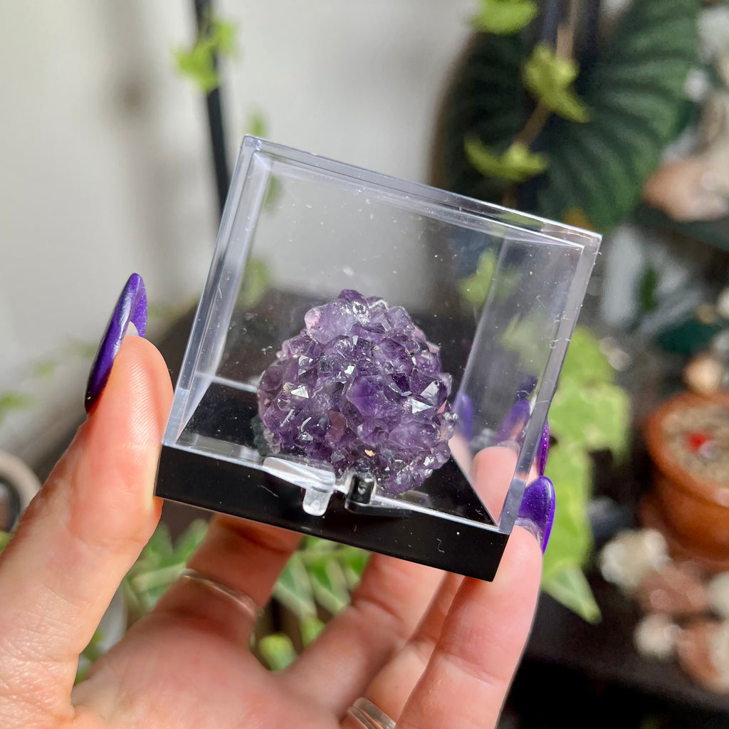 Flower Amethyst Collector Box