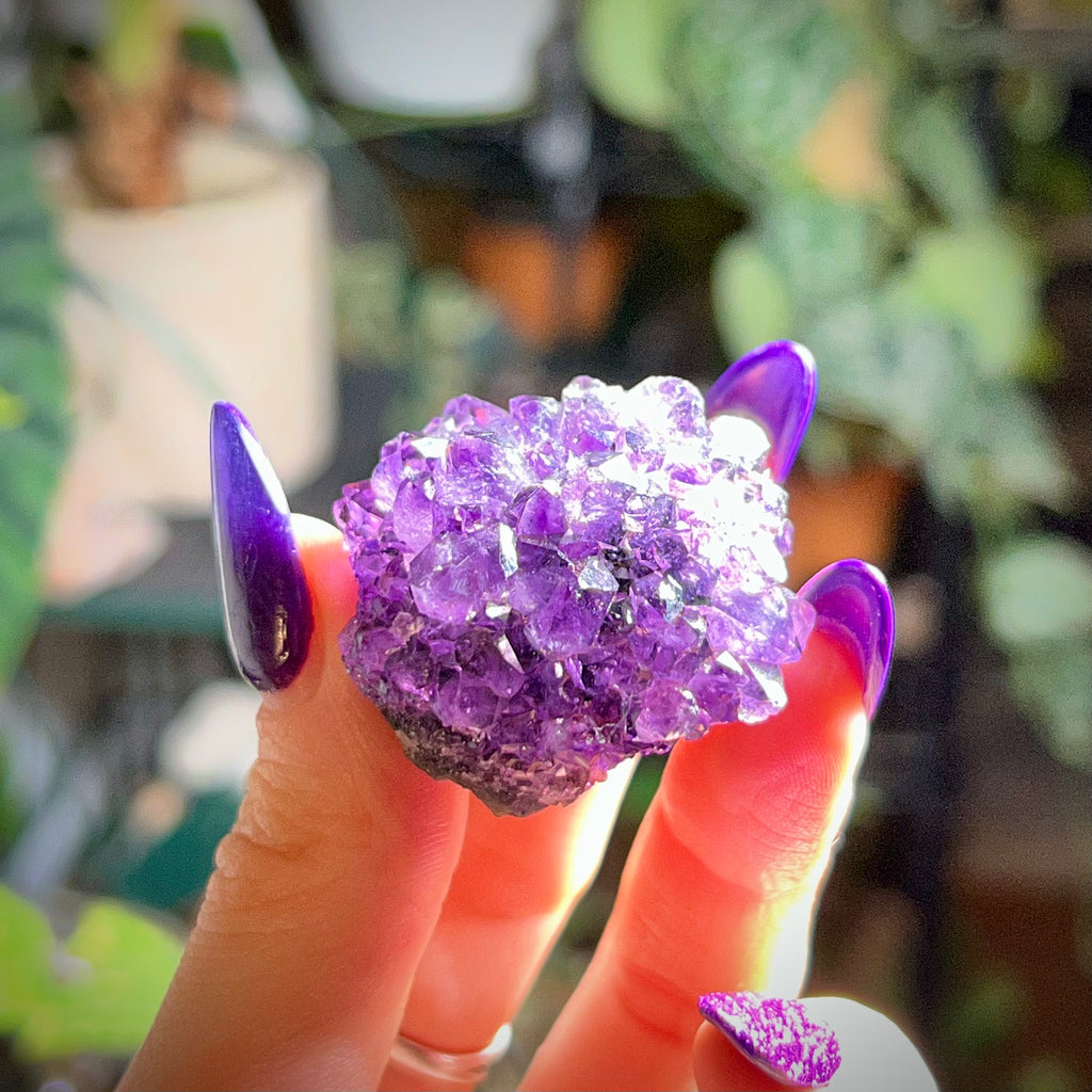 Flower Amethyst Collector Box