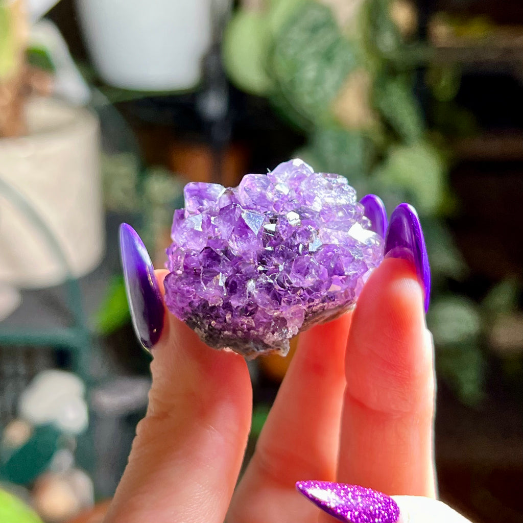 Flower Amethyst Collector Box