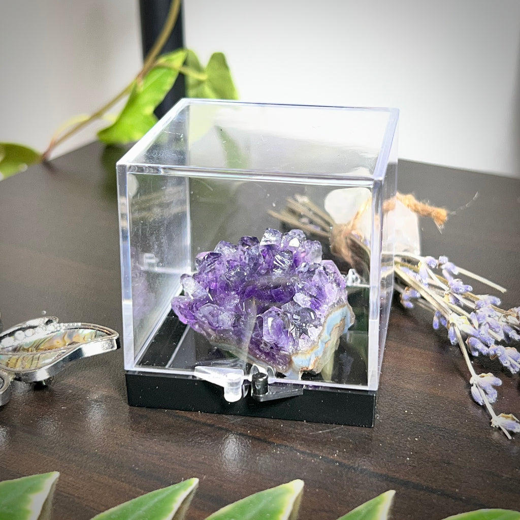 Flower Amethyst Collector Box