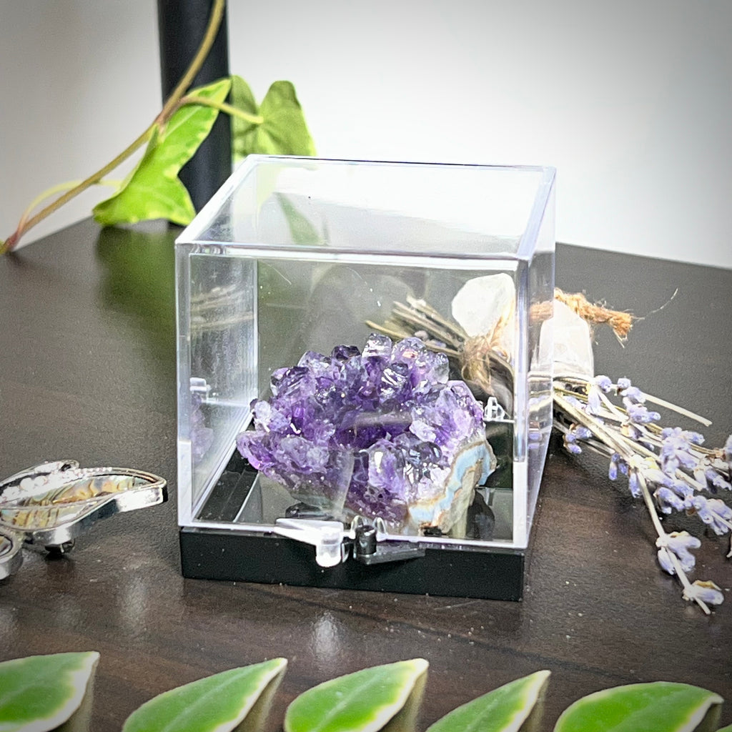 Flower Amethyst Collector Box