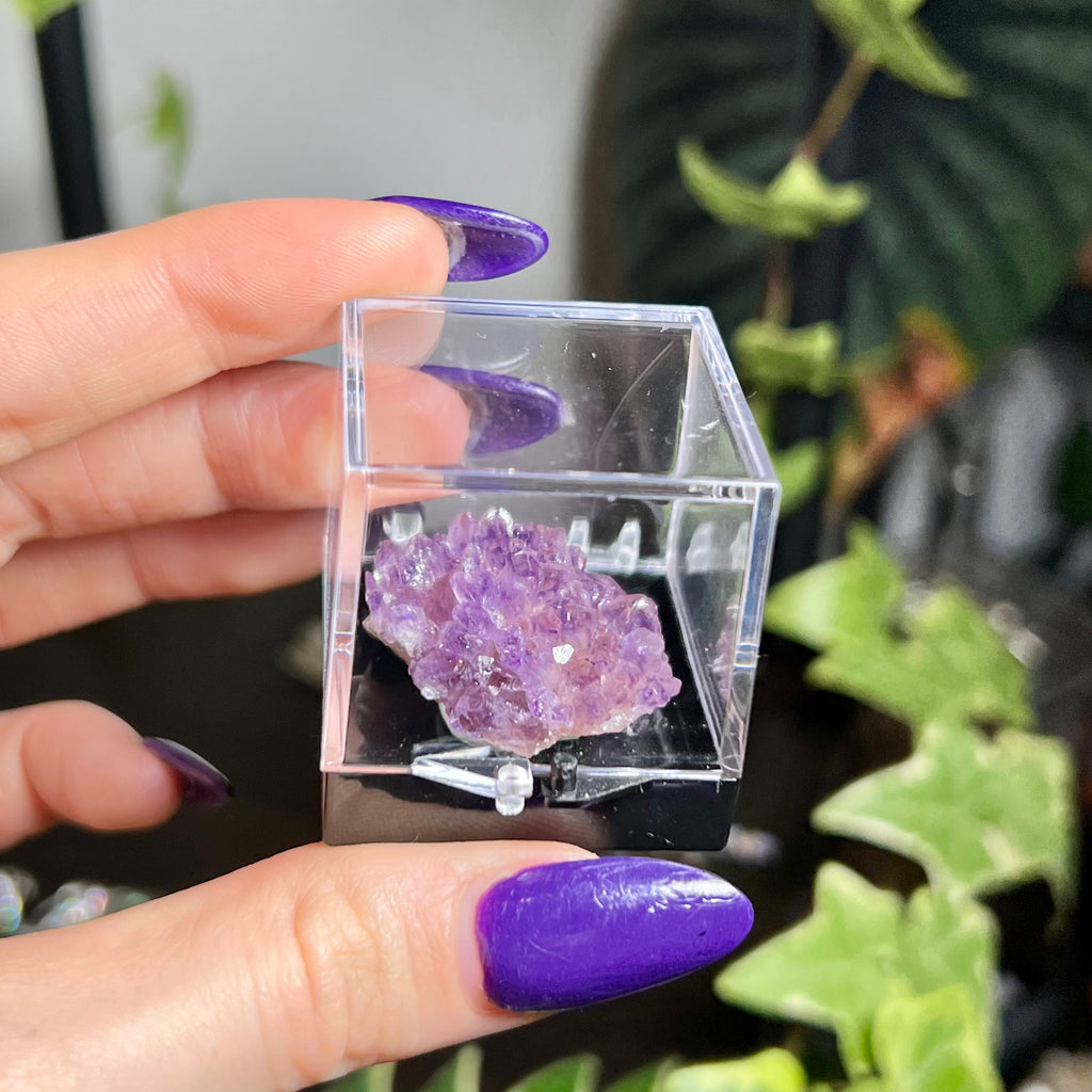 Flower Amethyst Collector Box