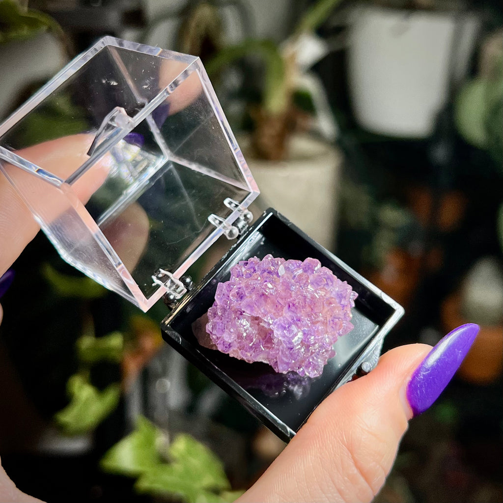 Flower Amethyst Collector Box