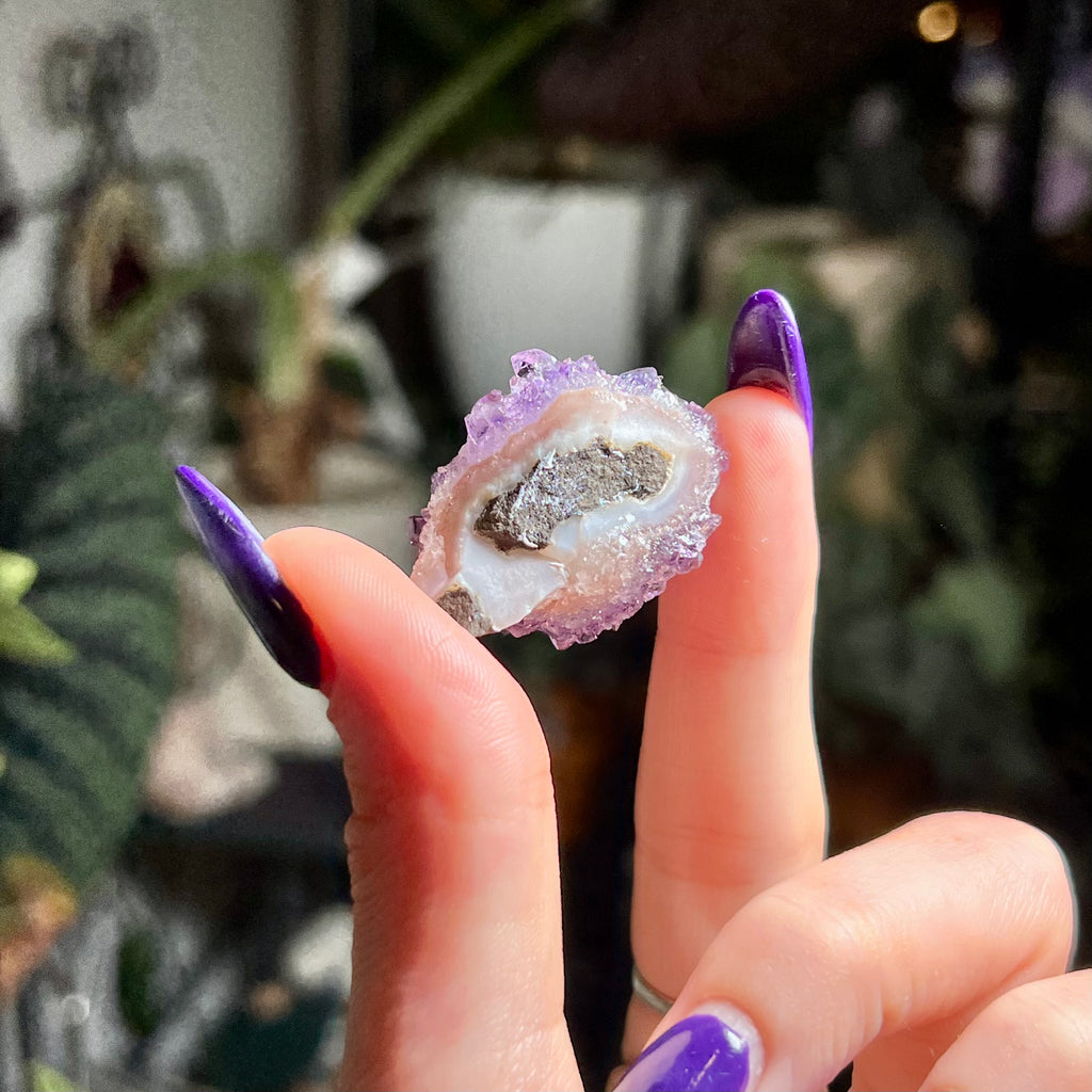 Flower Amethyst Collector Box