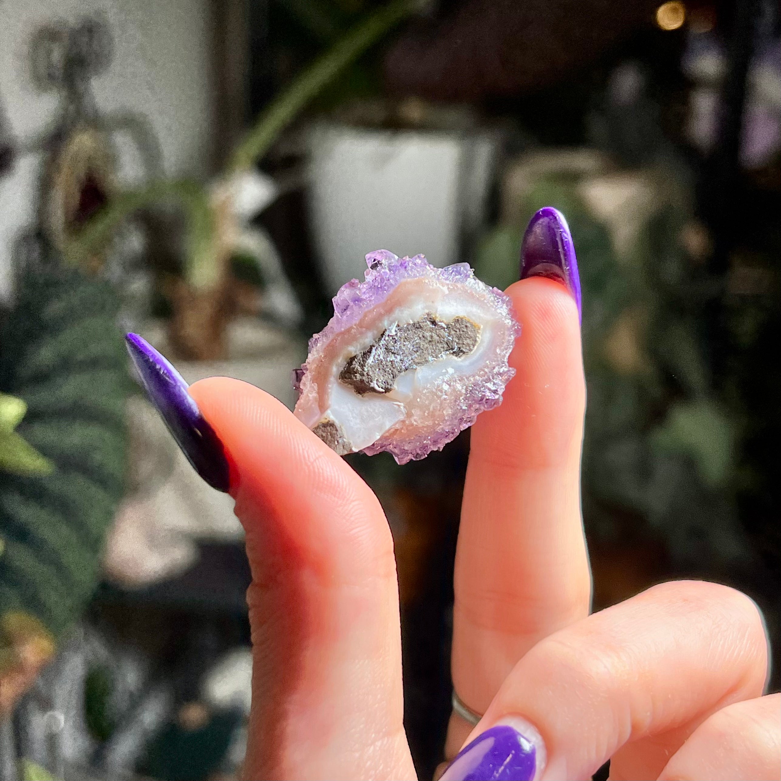 Flower Amethyst Collector Box