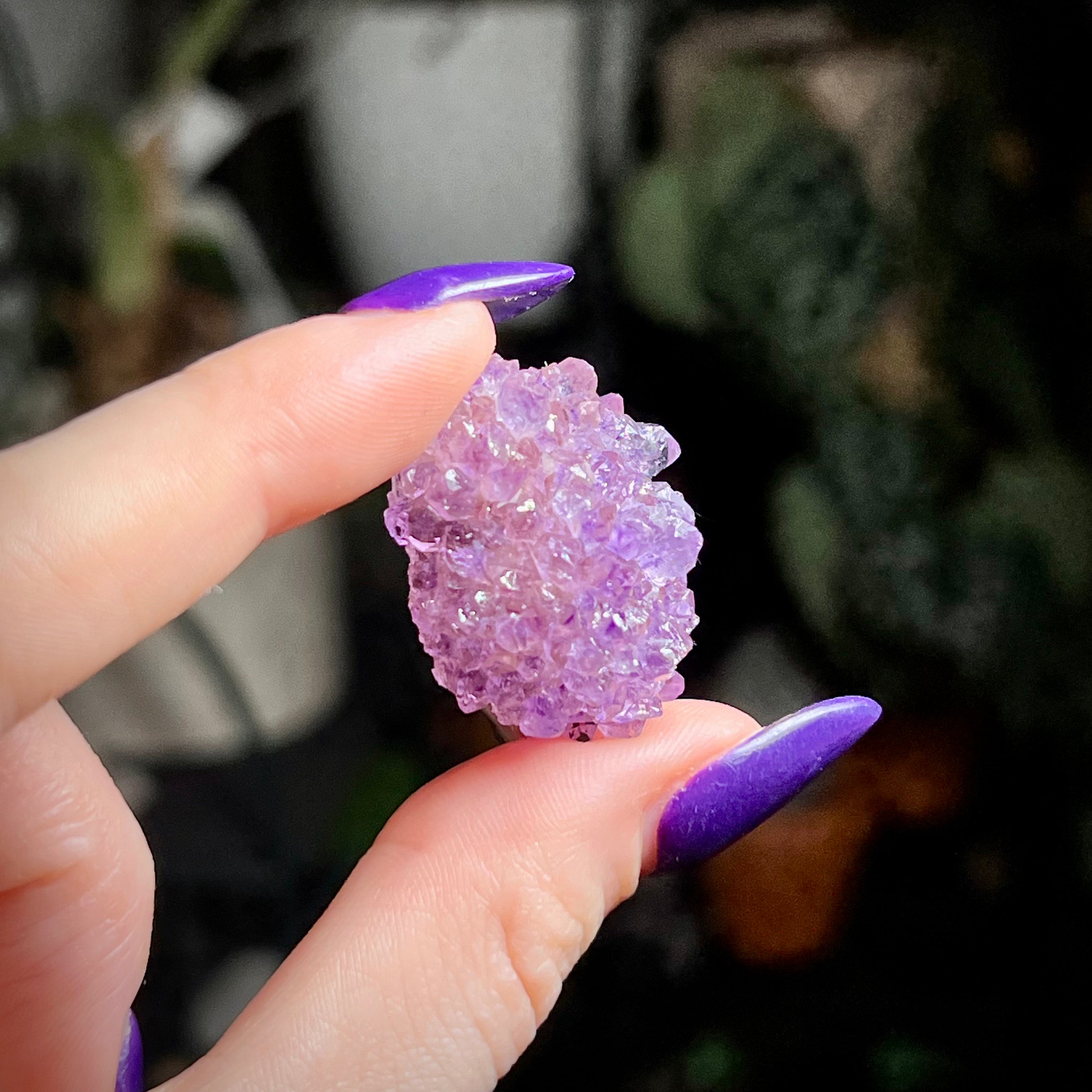 Flower Amethyst Collector Box