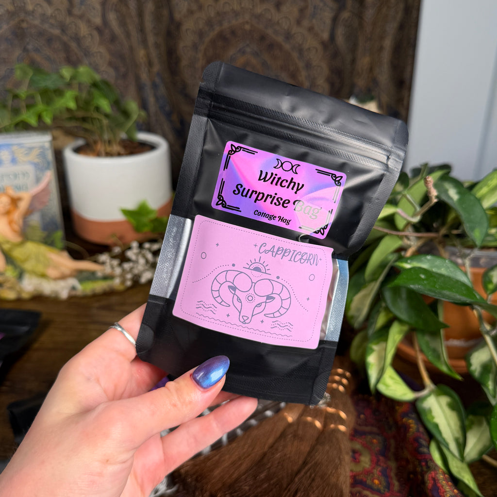 Zodiac Mystery Bag