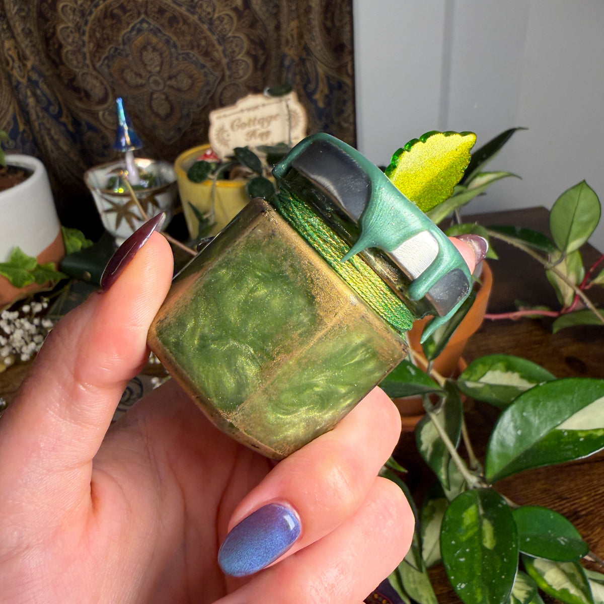 Divination Potions - Dragonfly Meadow