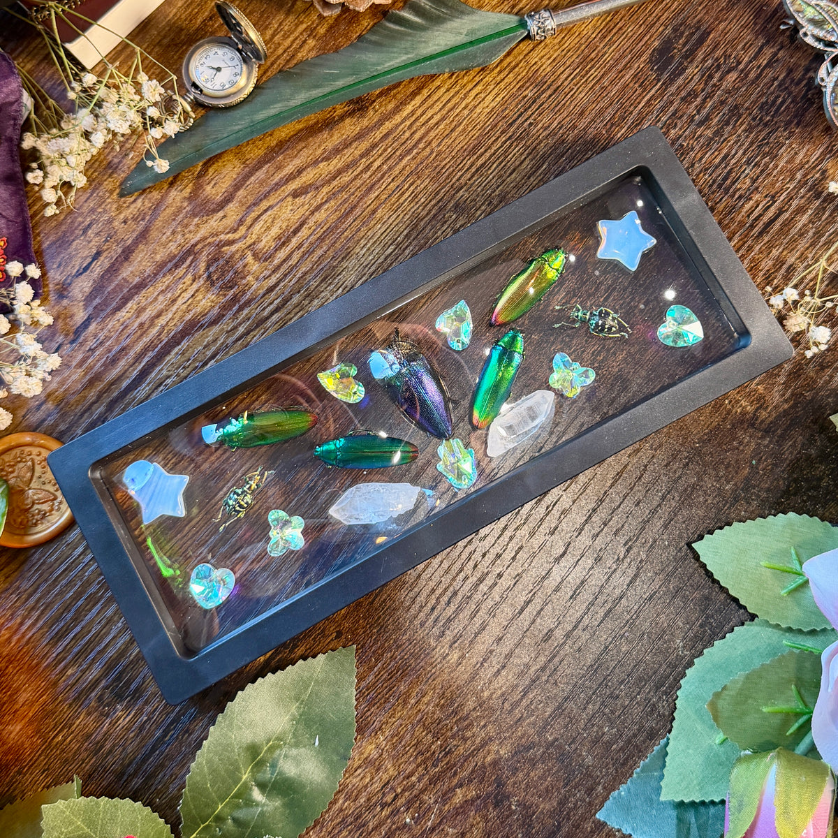 Whimsical Rainbow Bug Frame