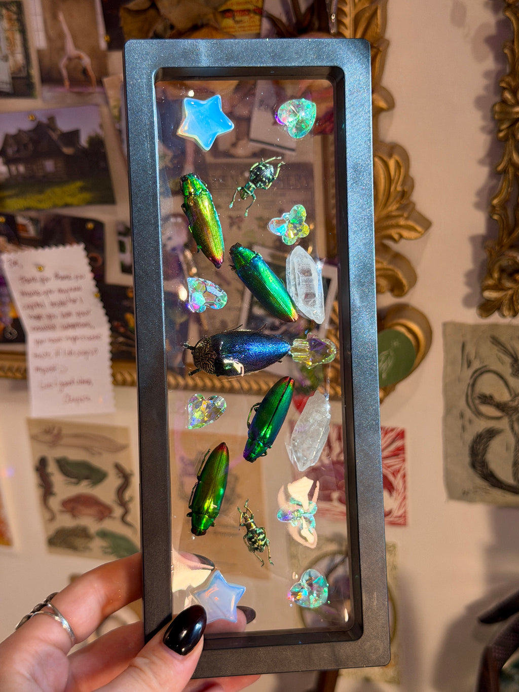 Whimsical Rainbow Bug Frame