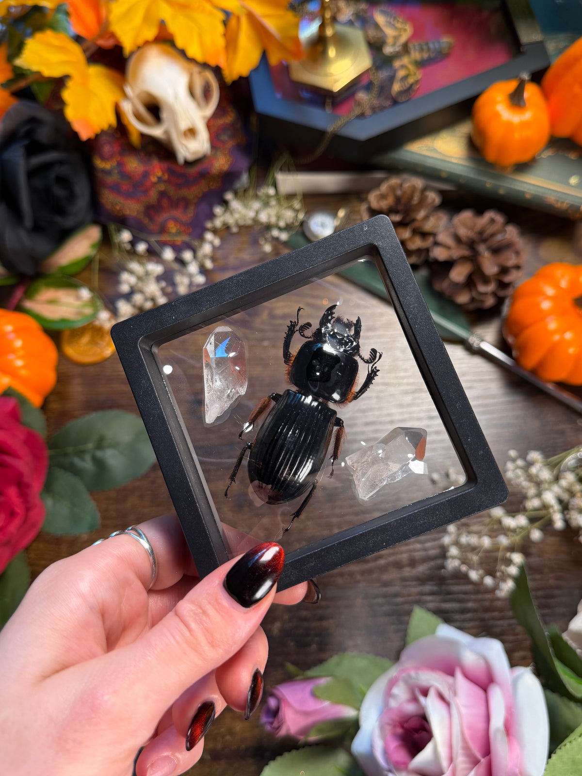Bess Beetles & Lemurian Quartz Frame