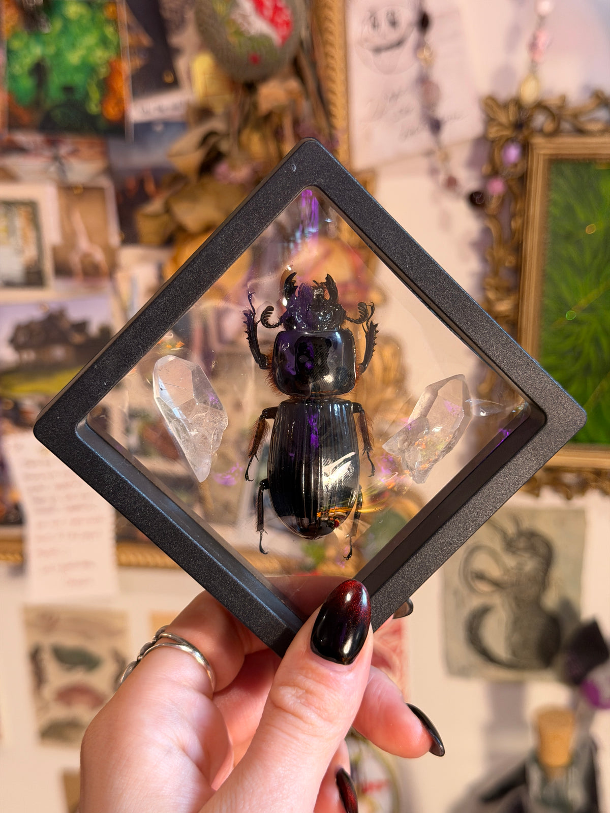 Bess Beetles & Lemurian Quartz Frame