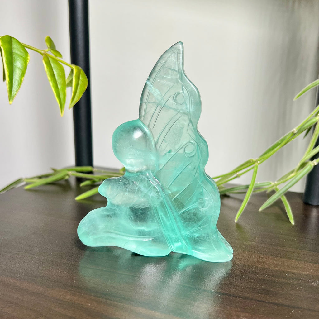 Fluorite Fairy