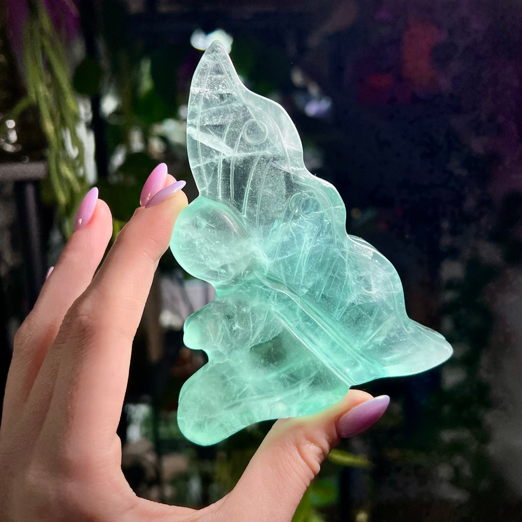 Fluorite Fairy