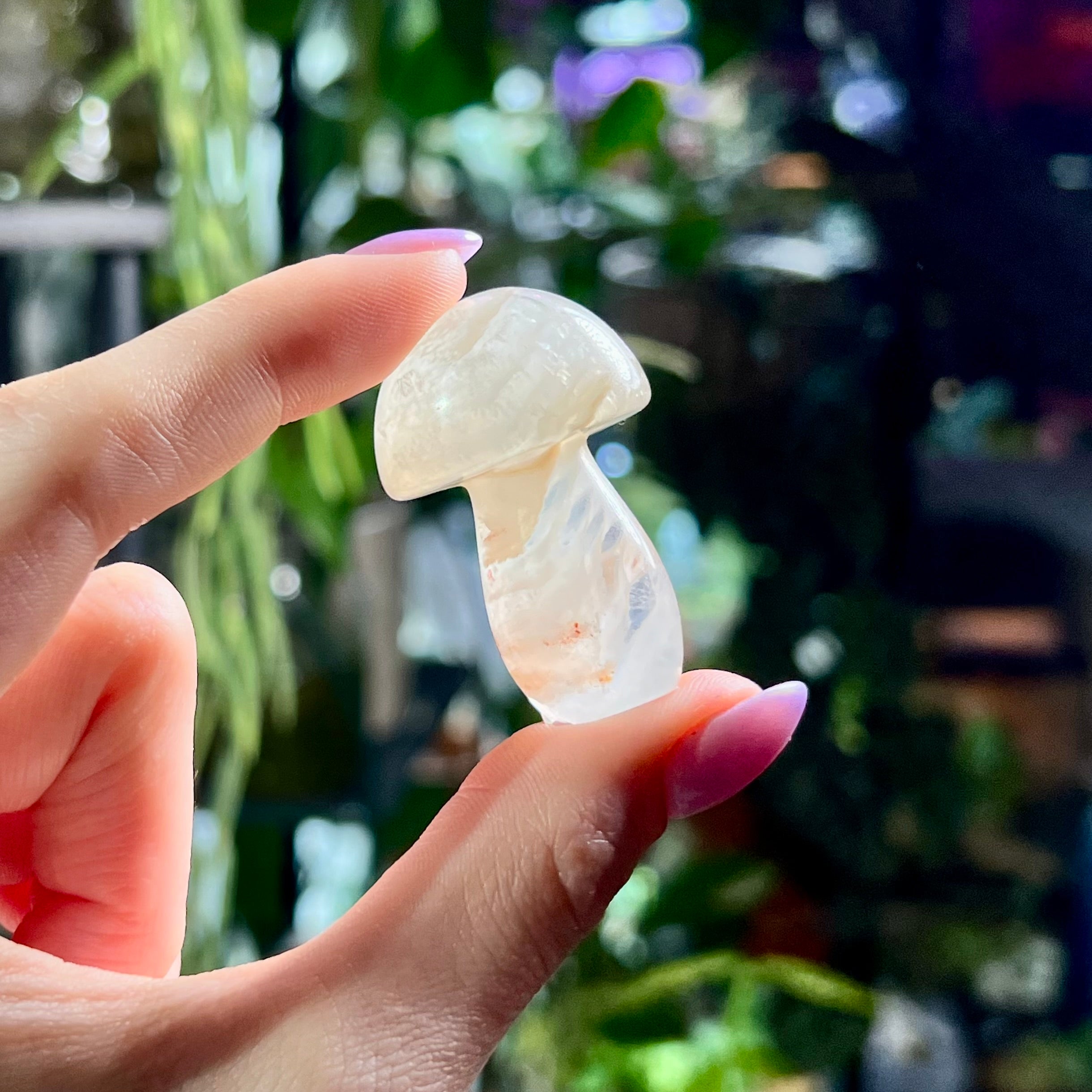 Pastel Fluorite Mushrooms