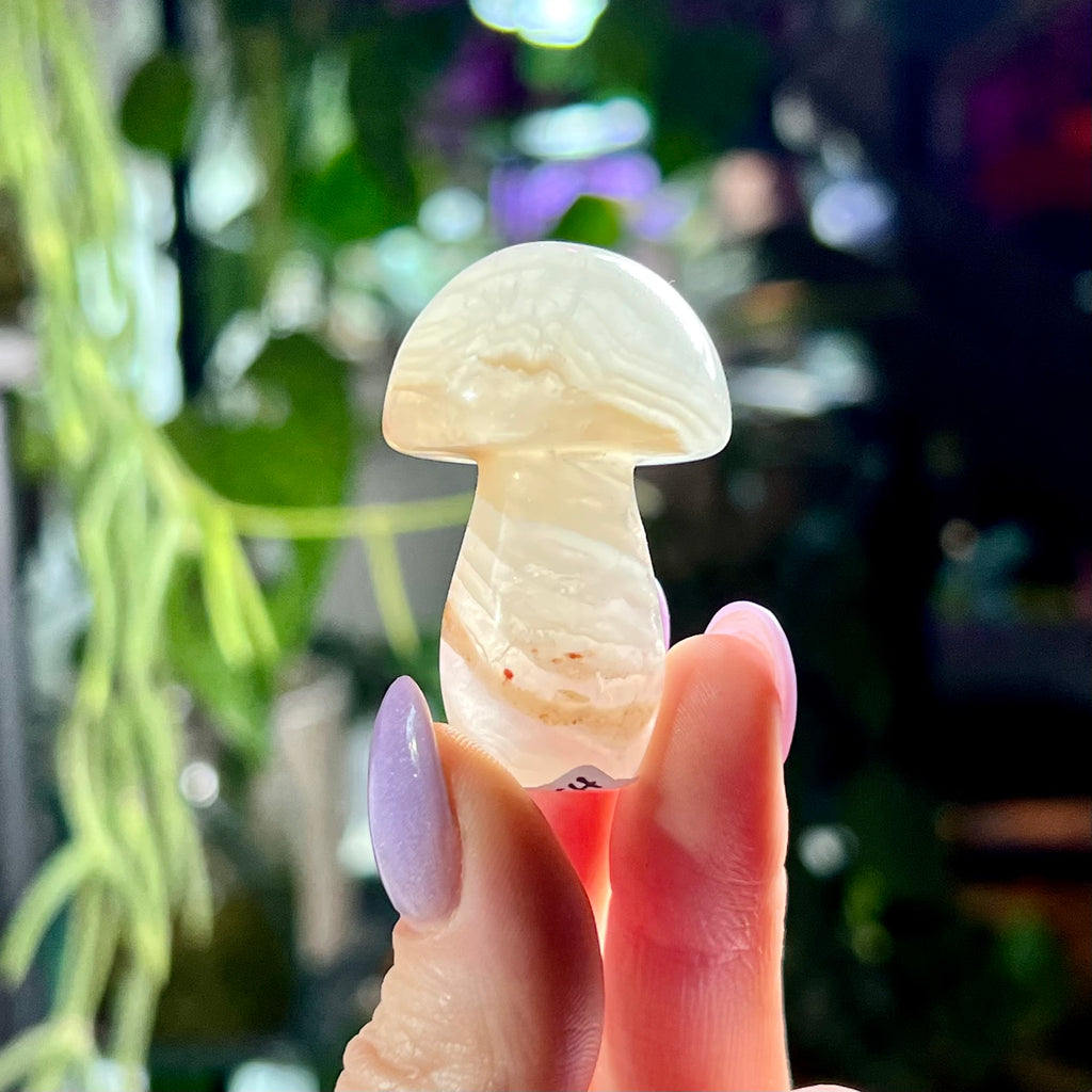 Pastel Fluorite Mushrooms