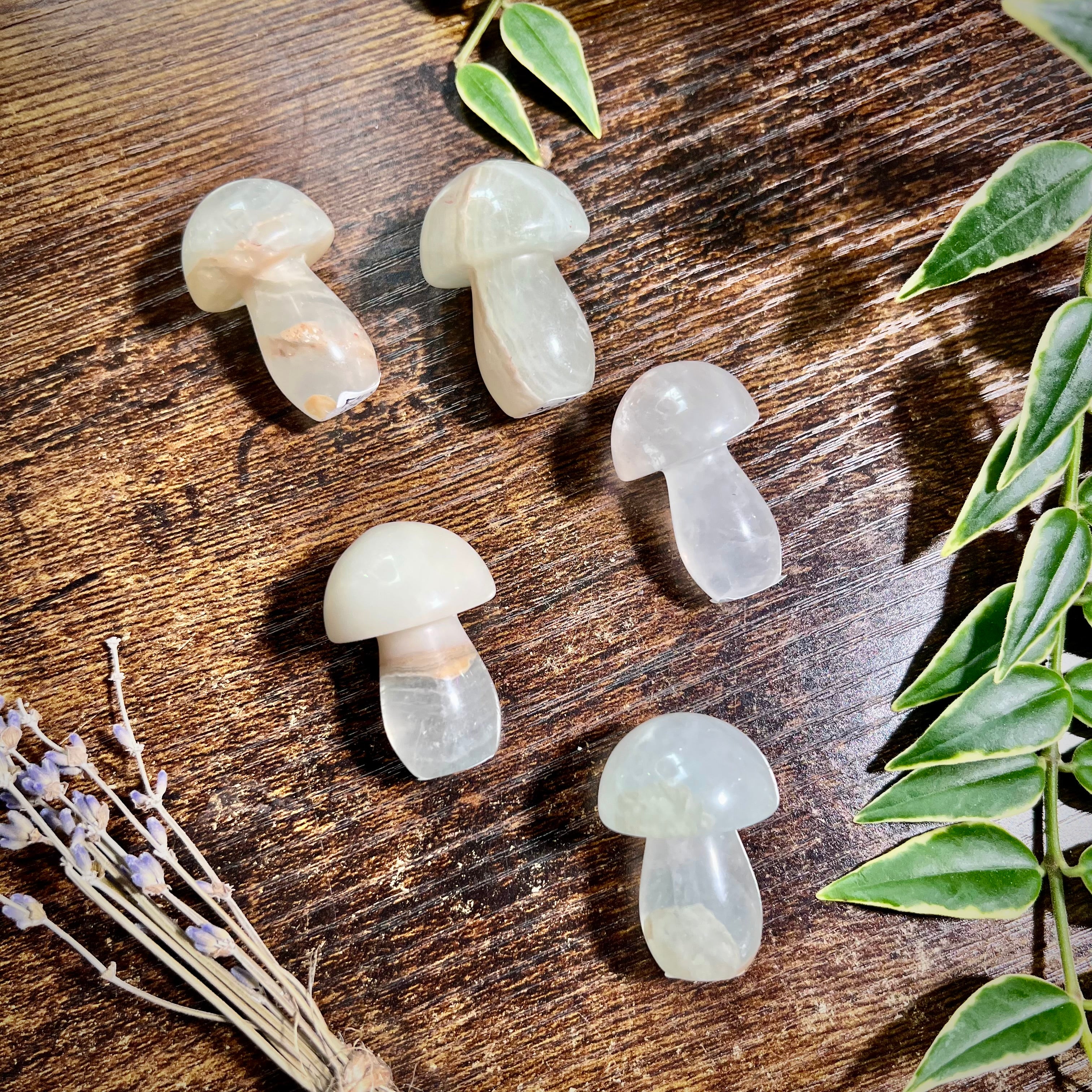 Pastel Fluorite Mushrooms