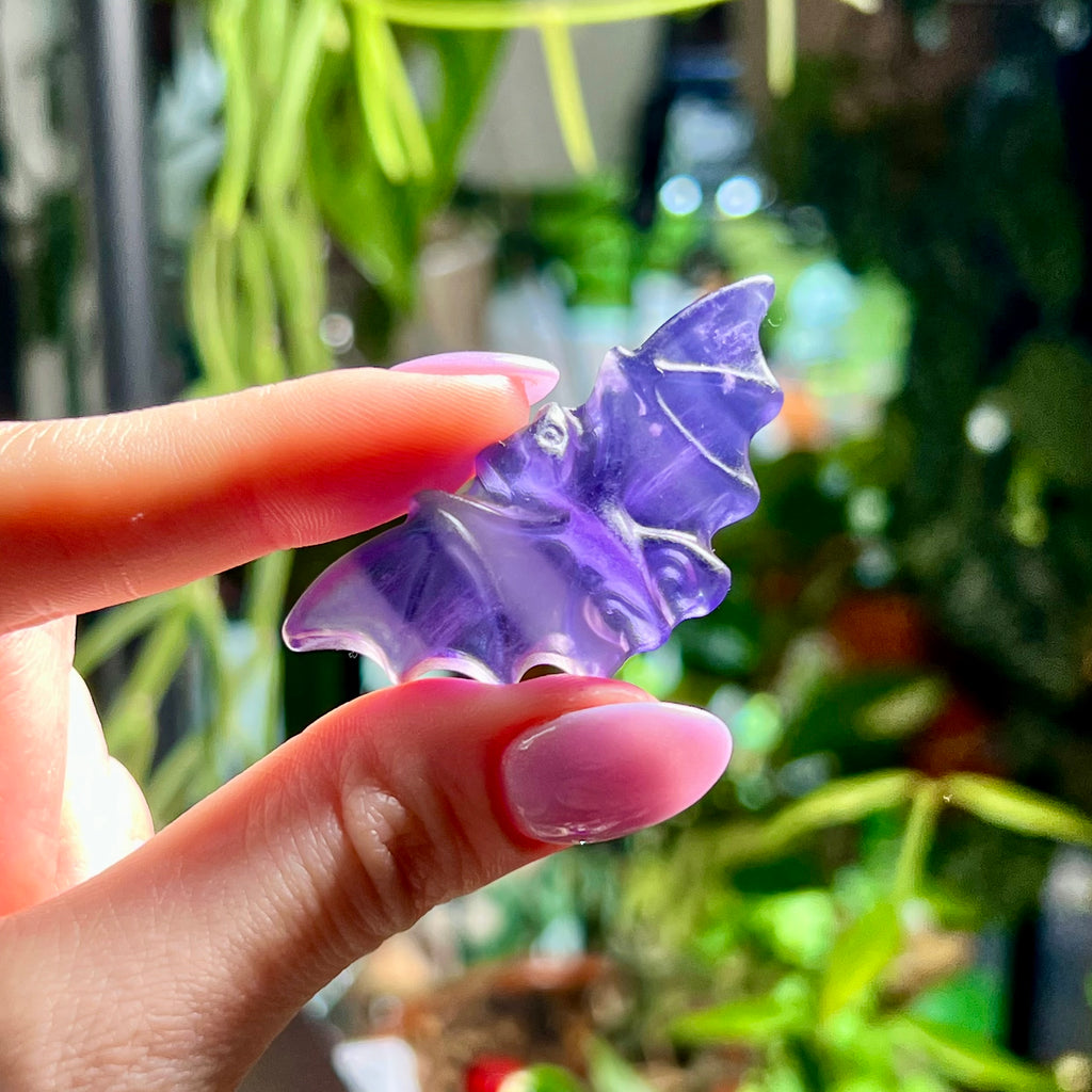 Purple Fluorite Bats