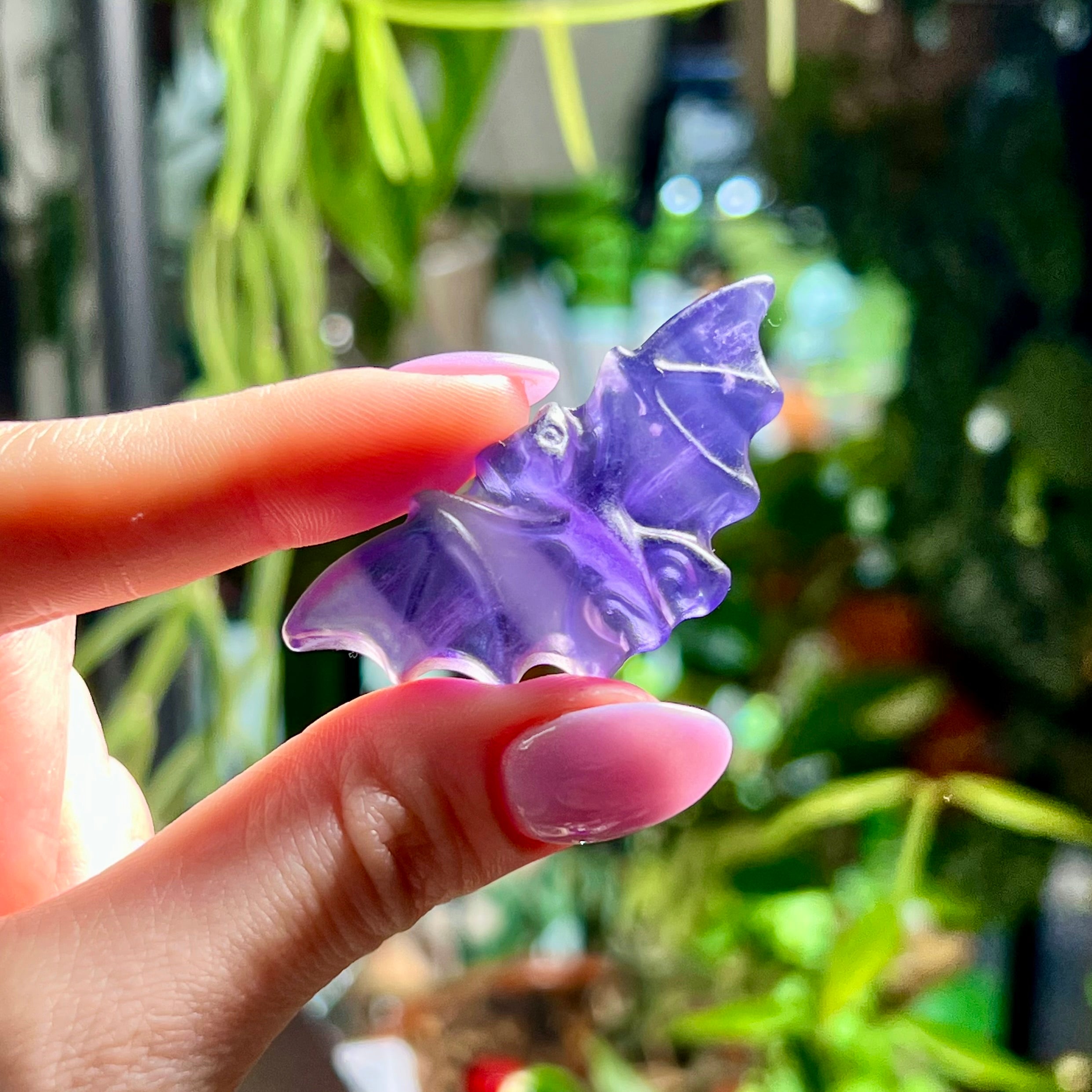 Purple Fluorite Bats