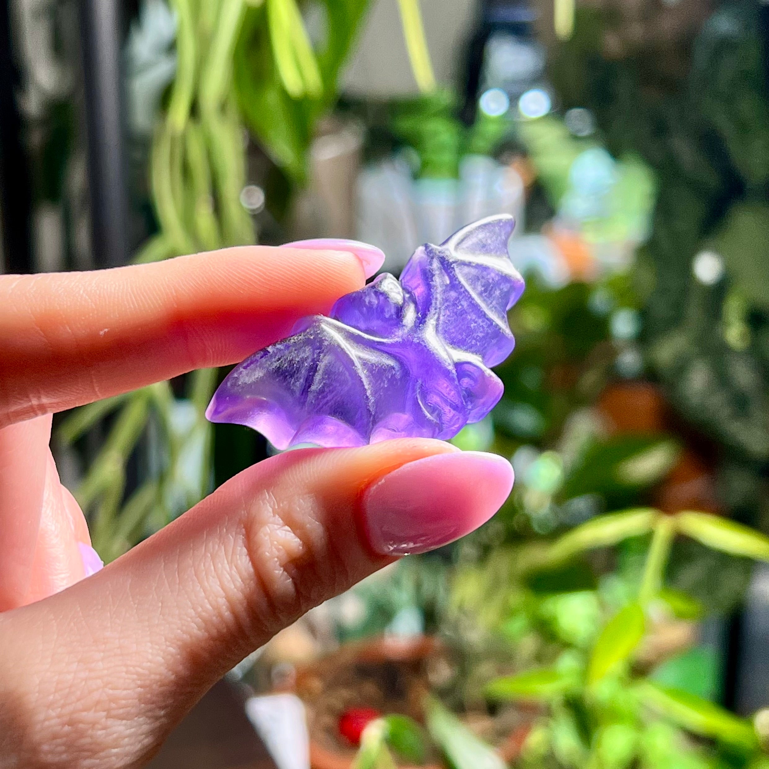 Purple Fluorite Bats