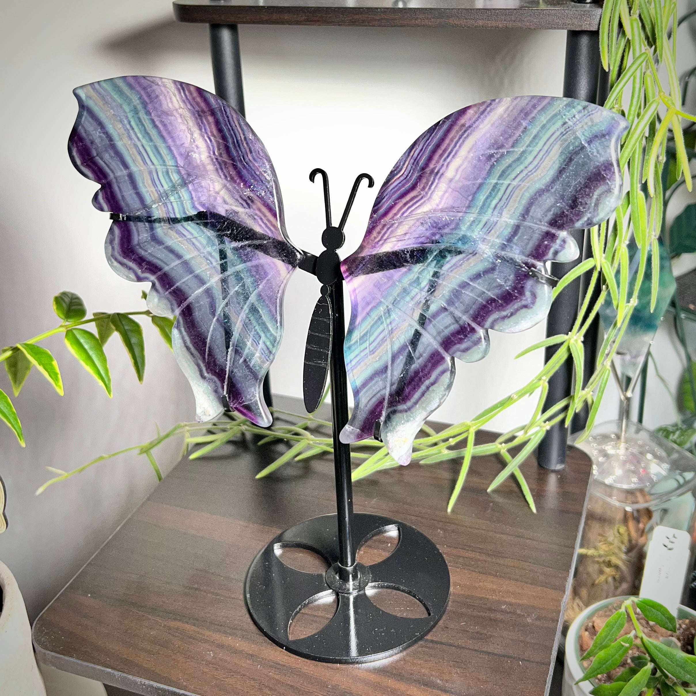 Fluorite Butterfly