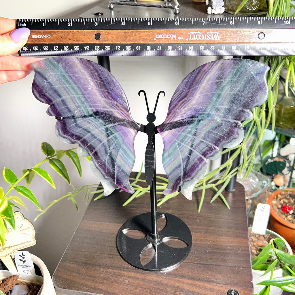 Fluorite Butterfly