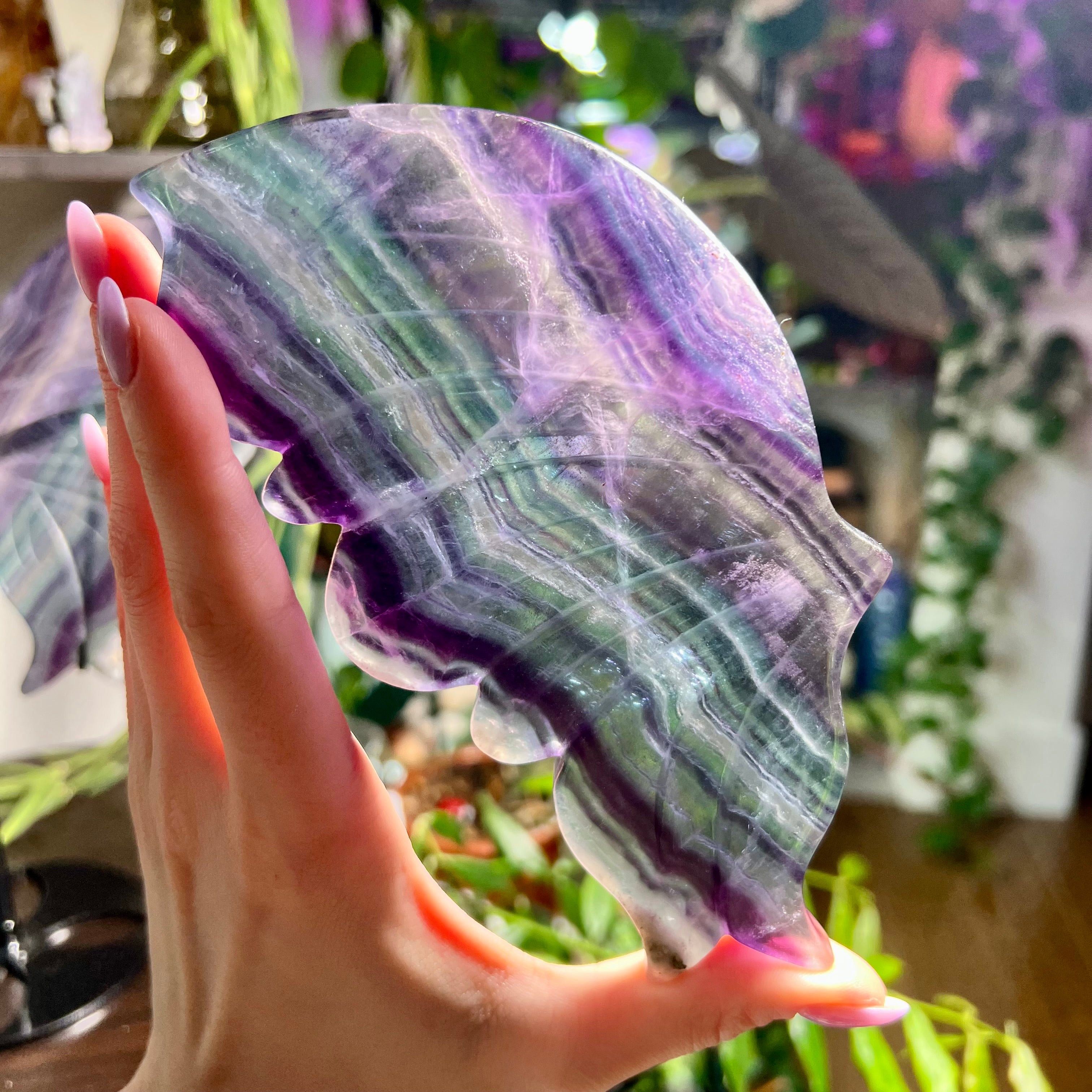 Fluorite Butterfly