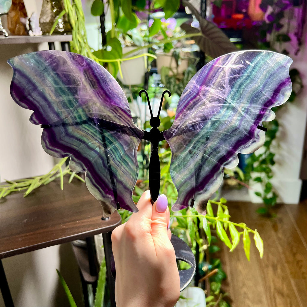 Fluorite Butterfly