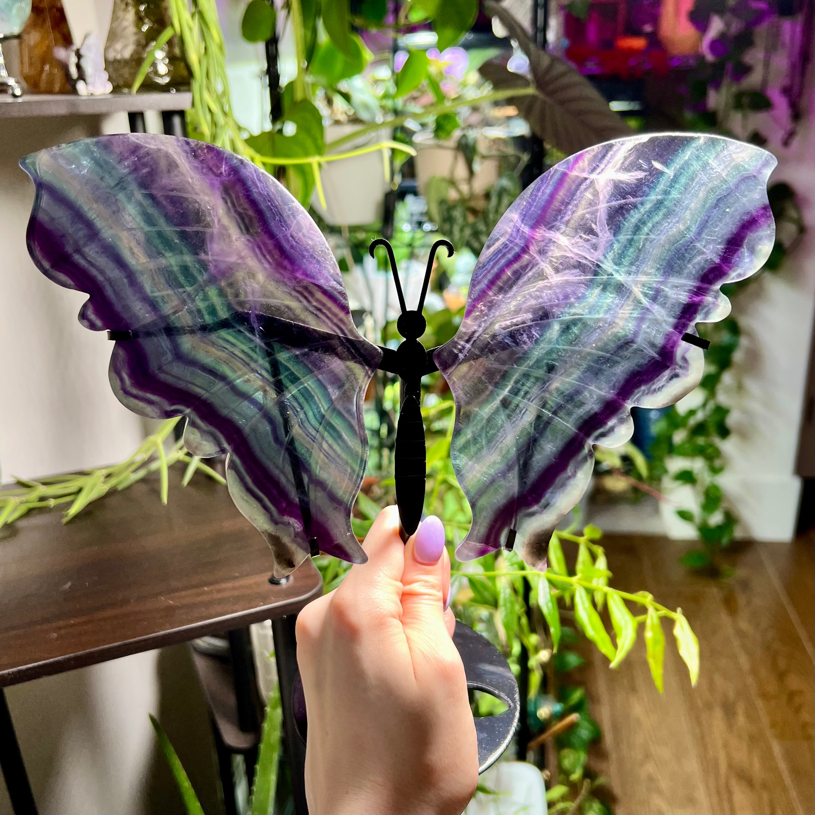 Fluorite Butterfly