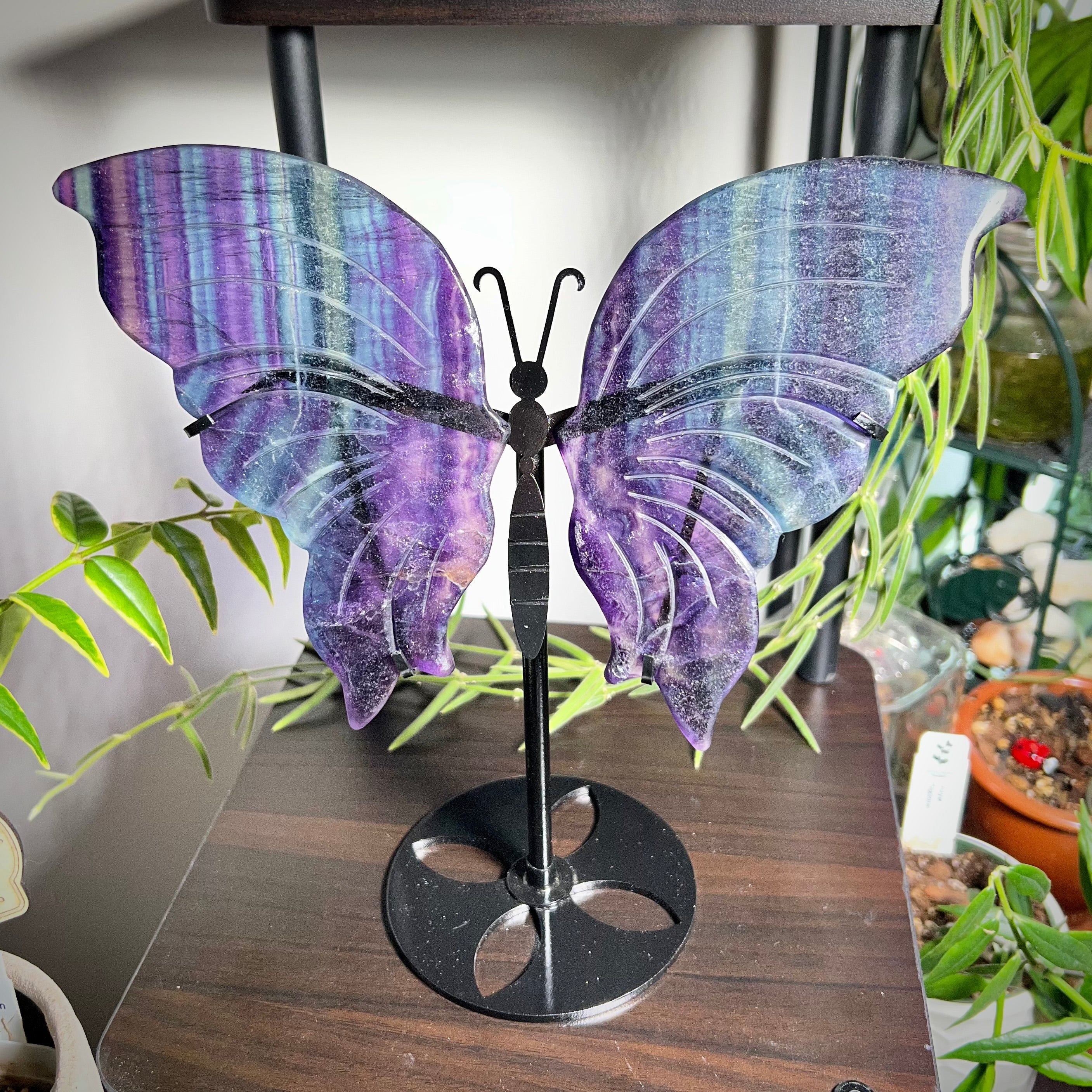 Fluorite Butterfly