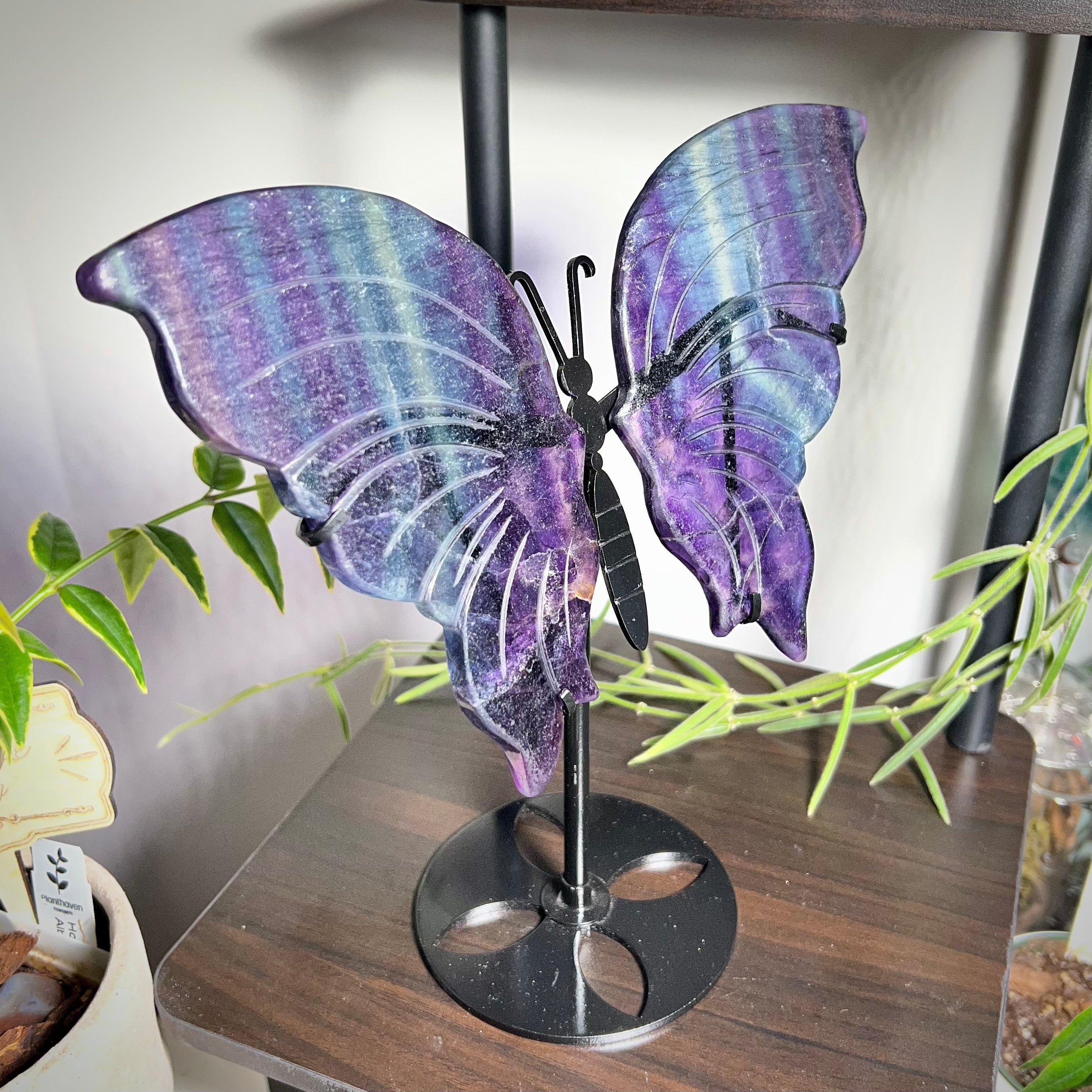Fluorite Butterfly