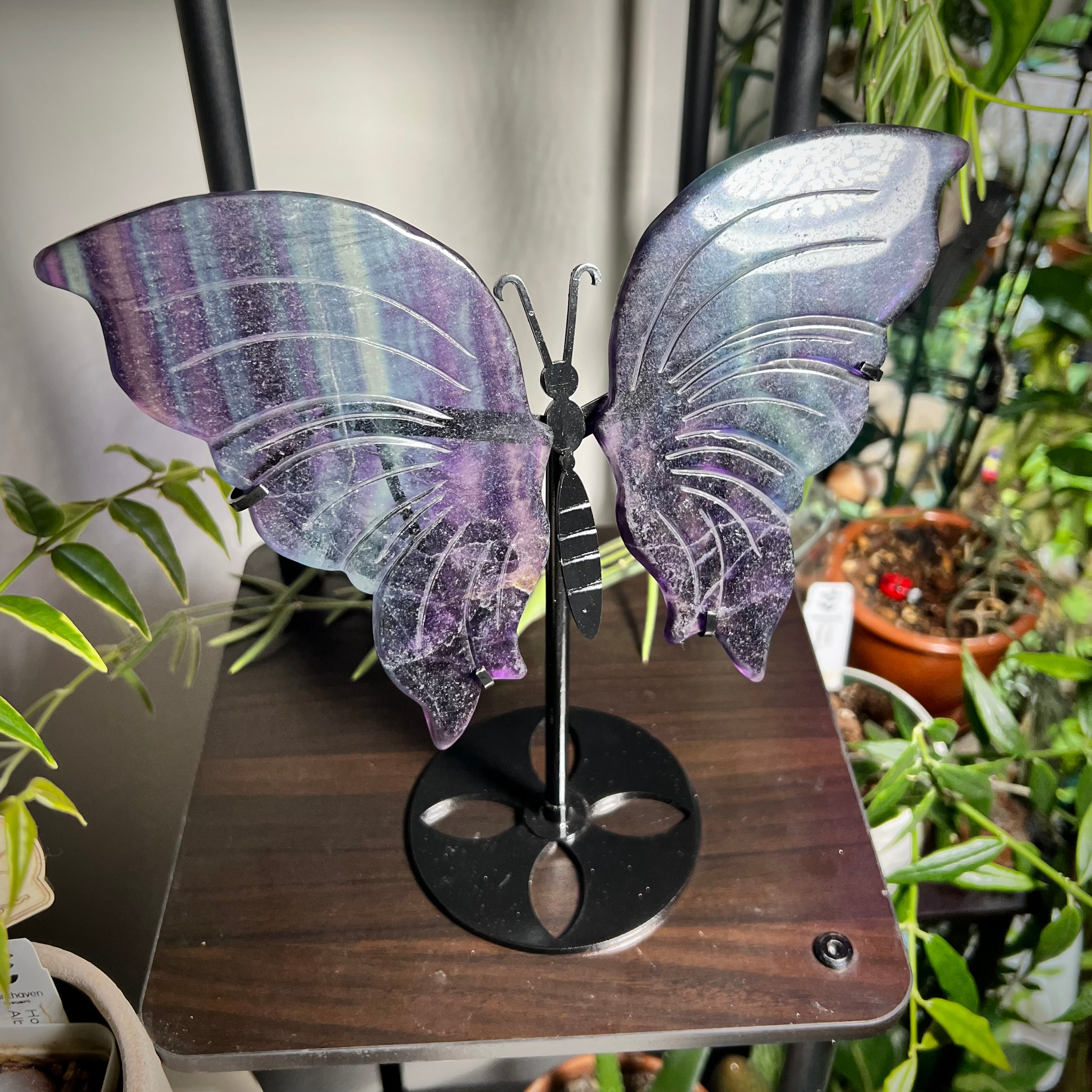 Fluorite Butterfly