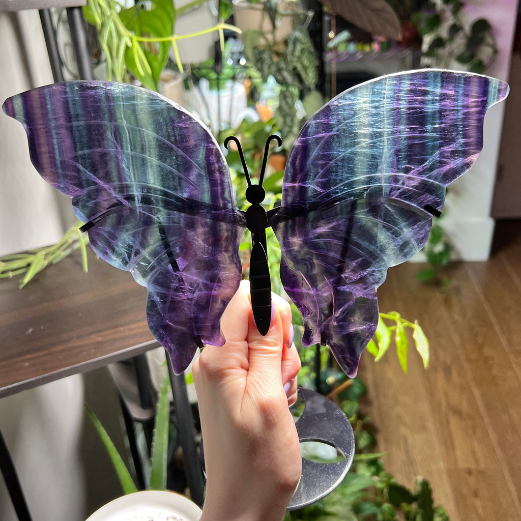 Fluorite Butterfly