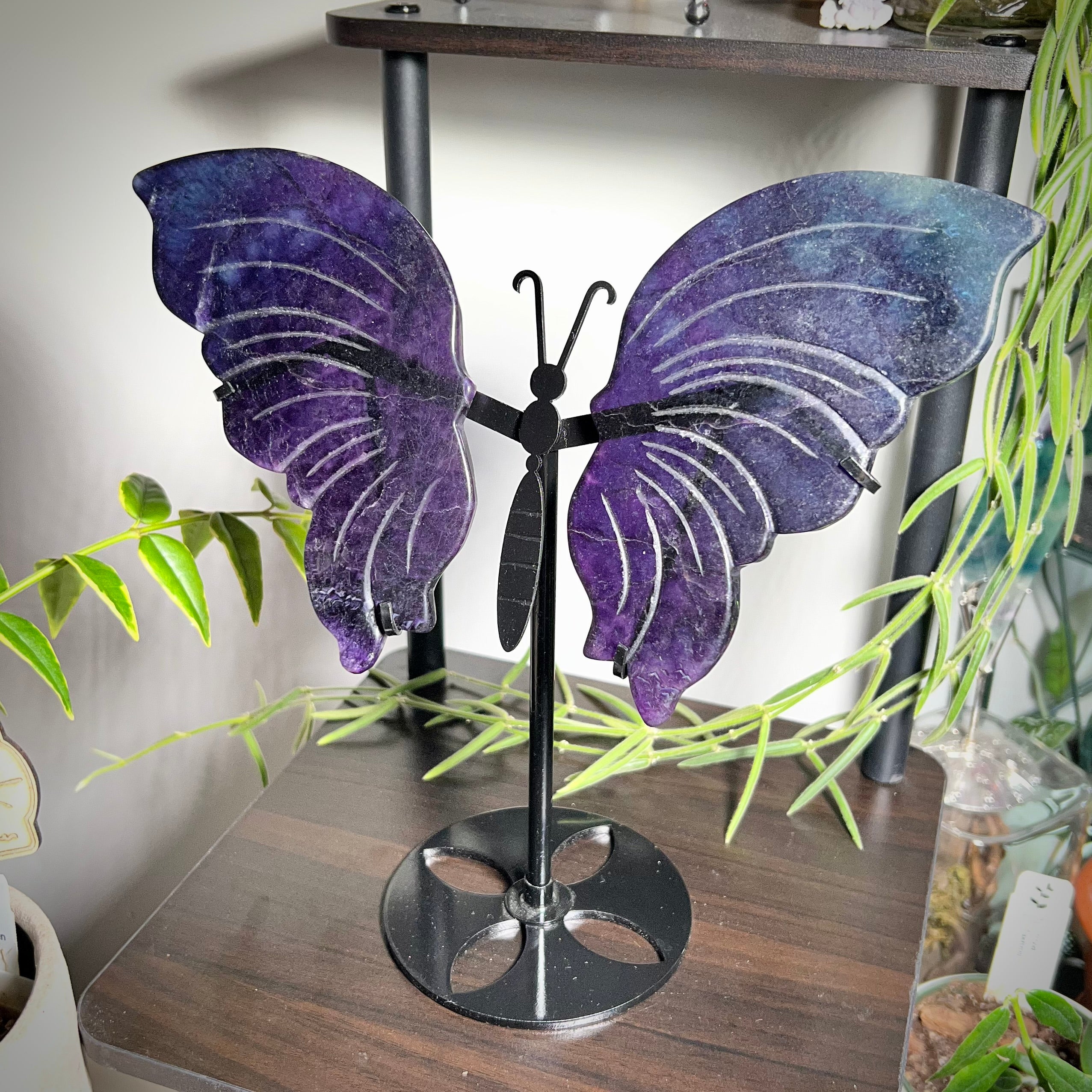 Fluorite Butterfly