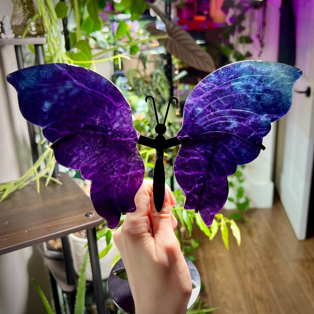 Fluorite Butterfly