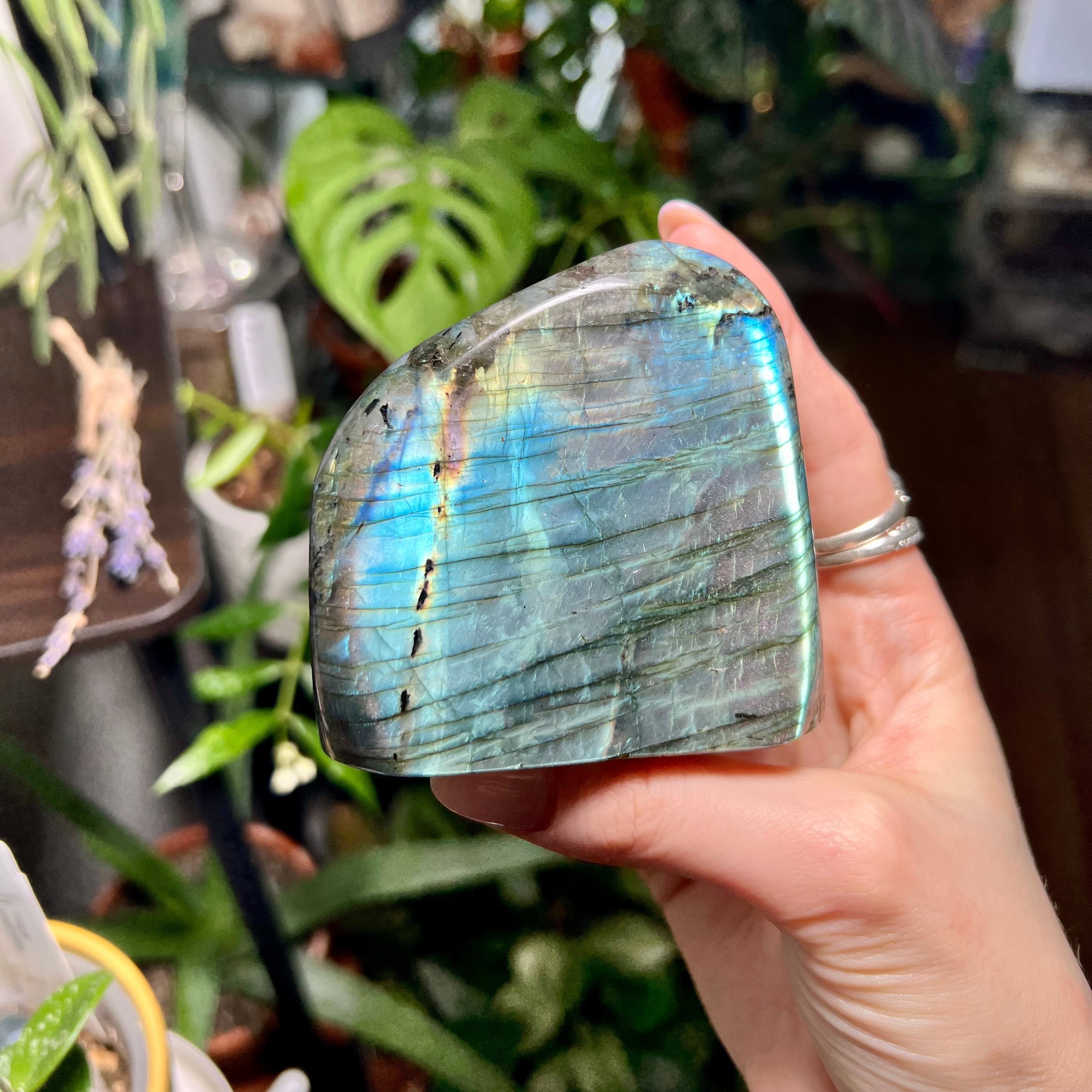 Labradorite Free Form