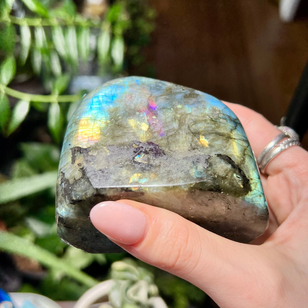 Labradorite Free Form
