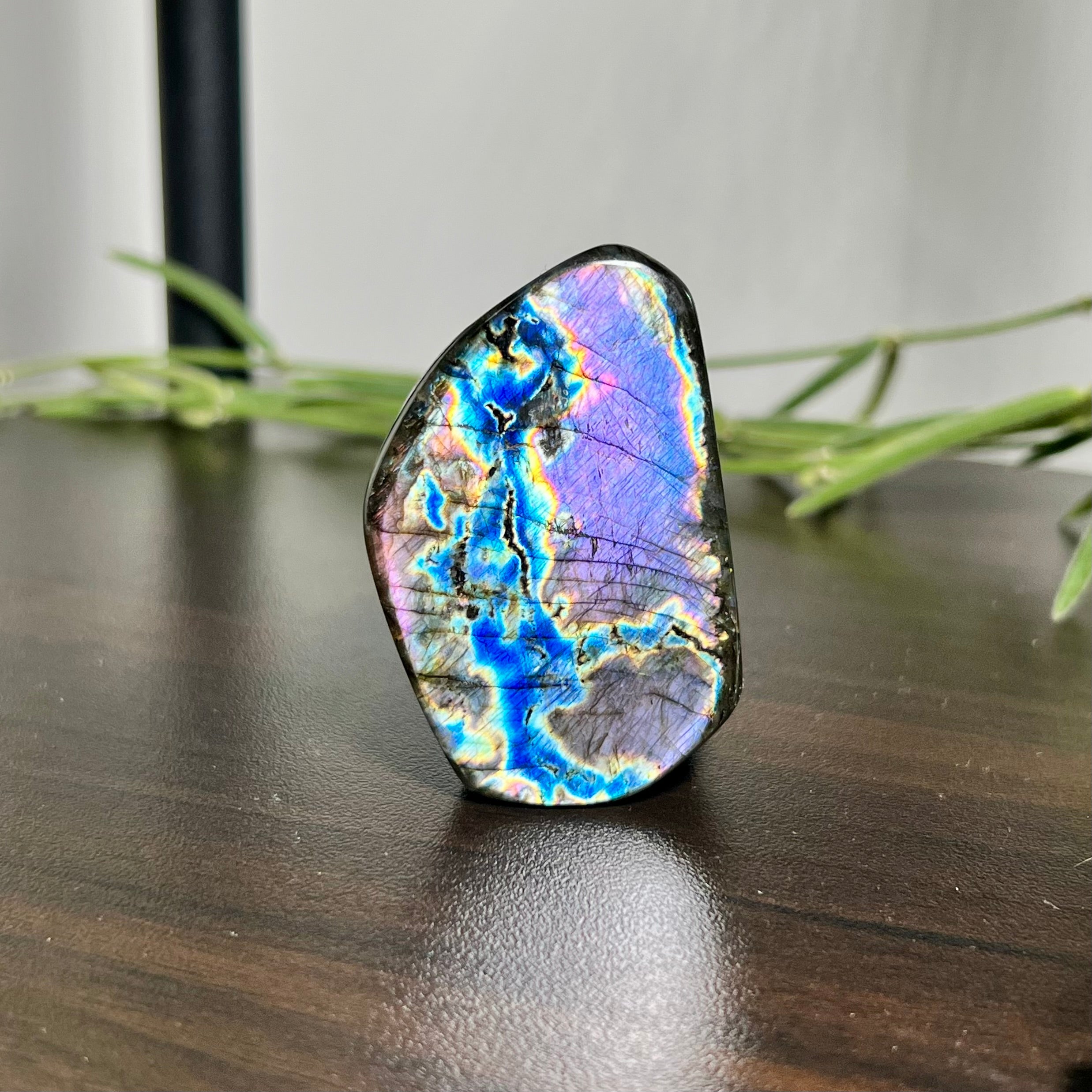 Labradorite Free Form