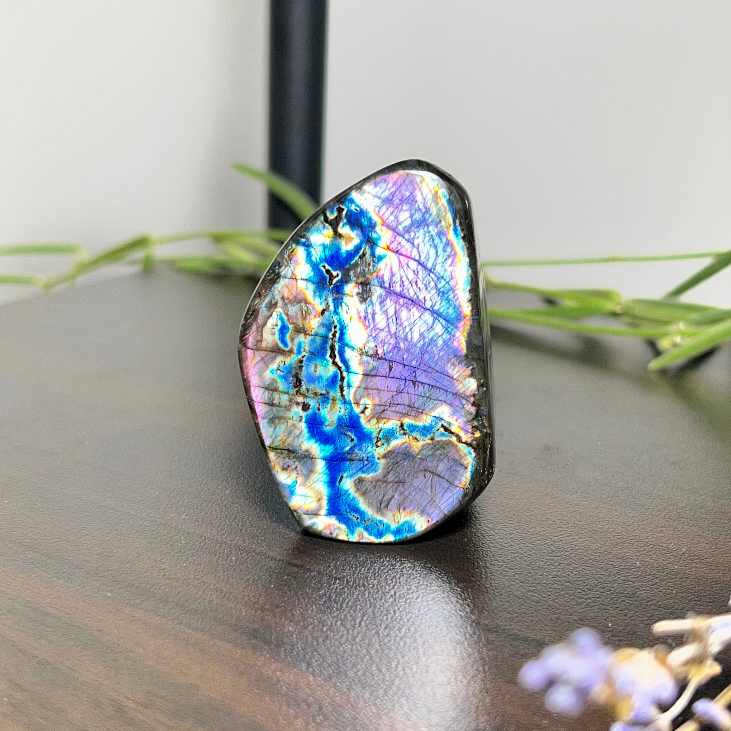 Labradorite Free Form