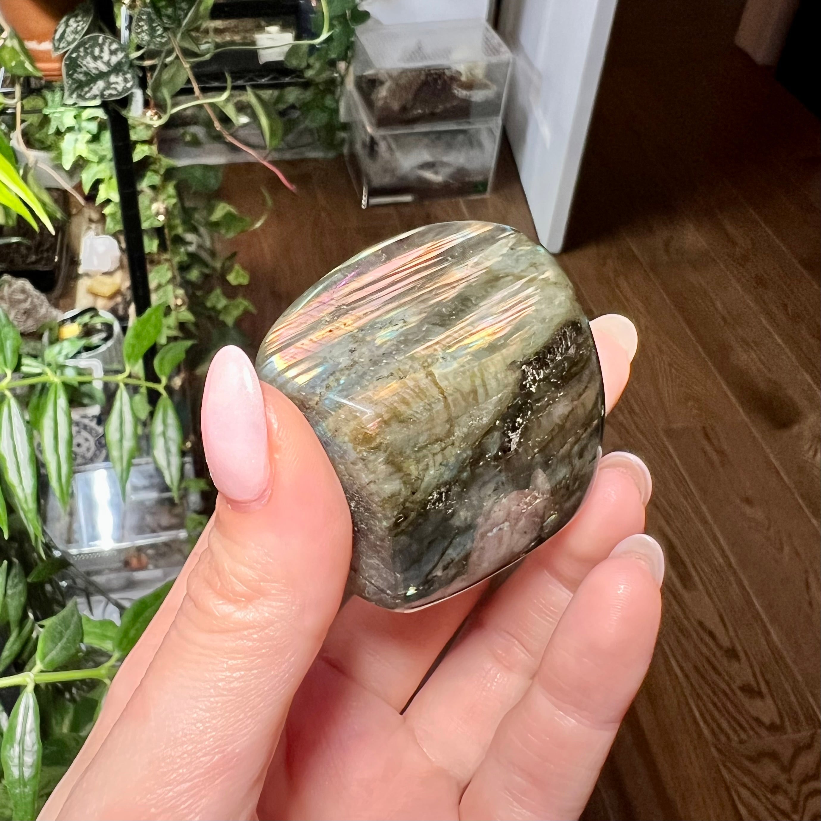 Labradorite Free Form