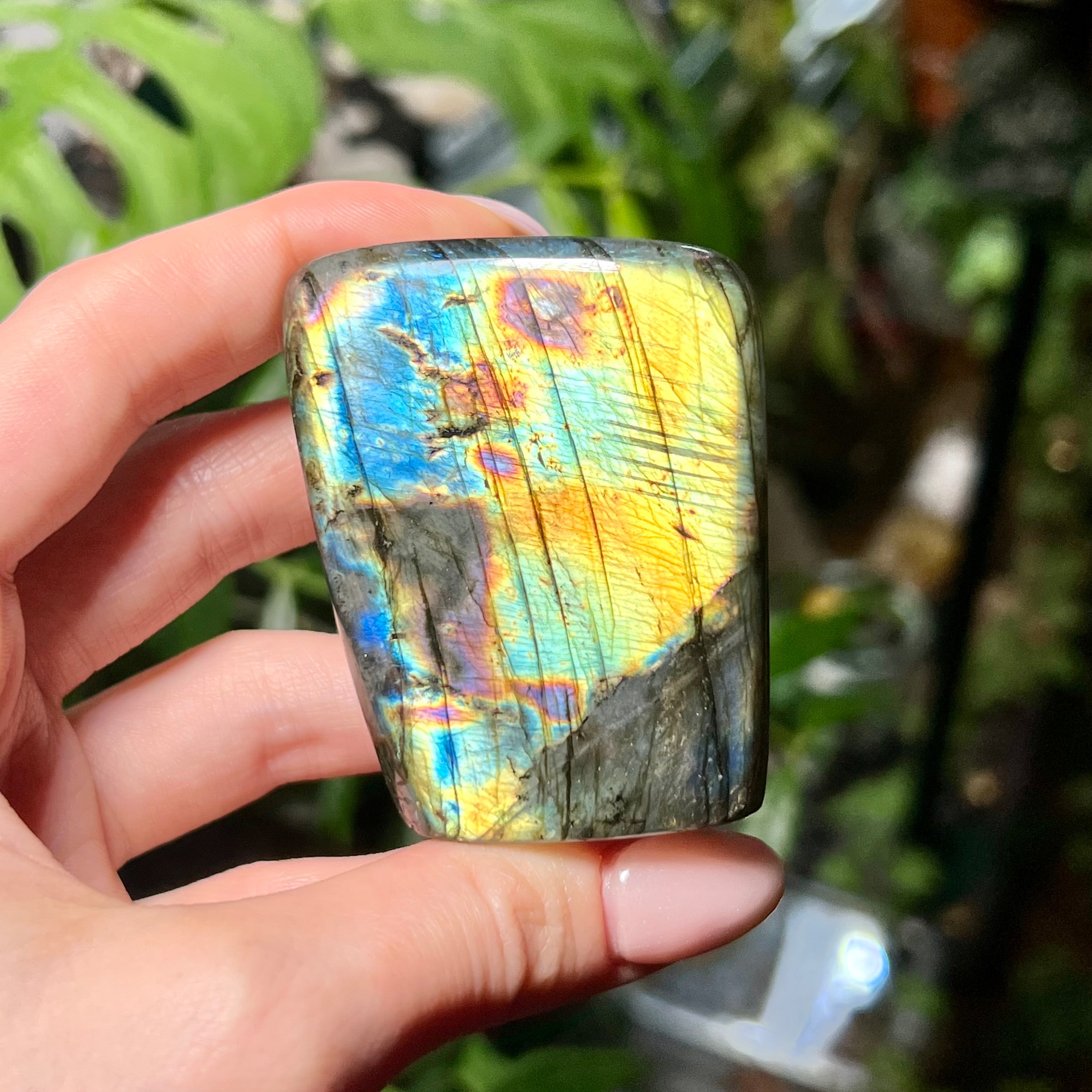 Labradorite Free Form