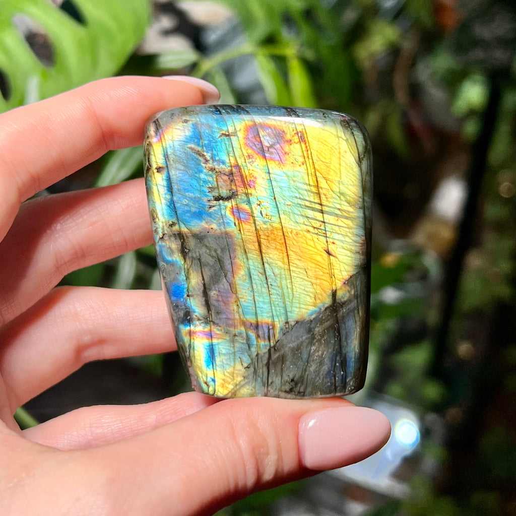 Labradorite Free Form