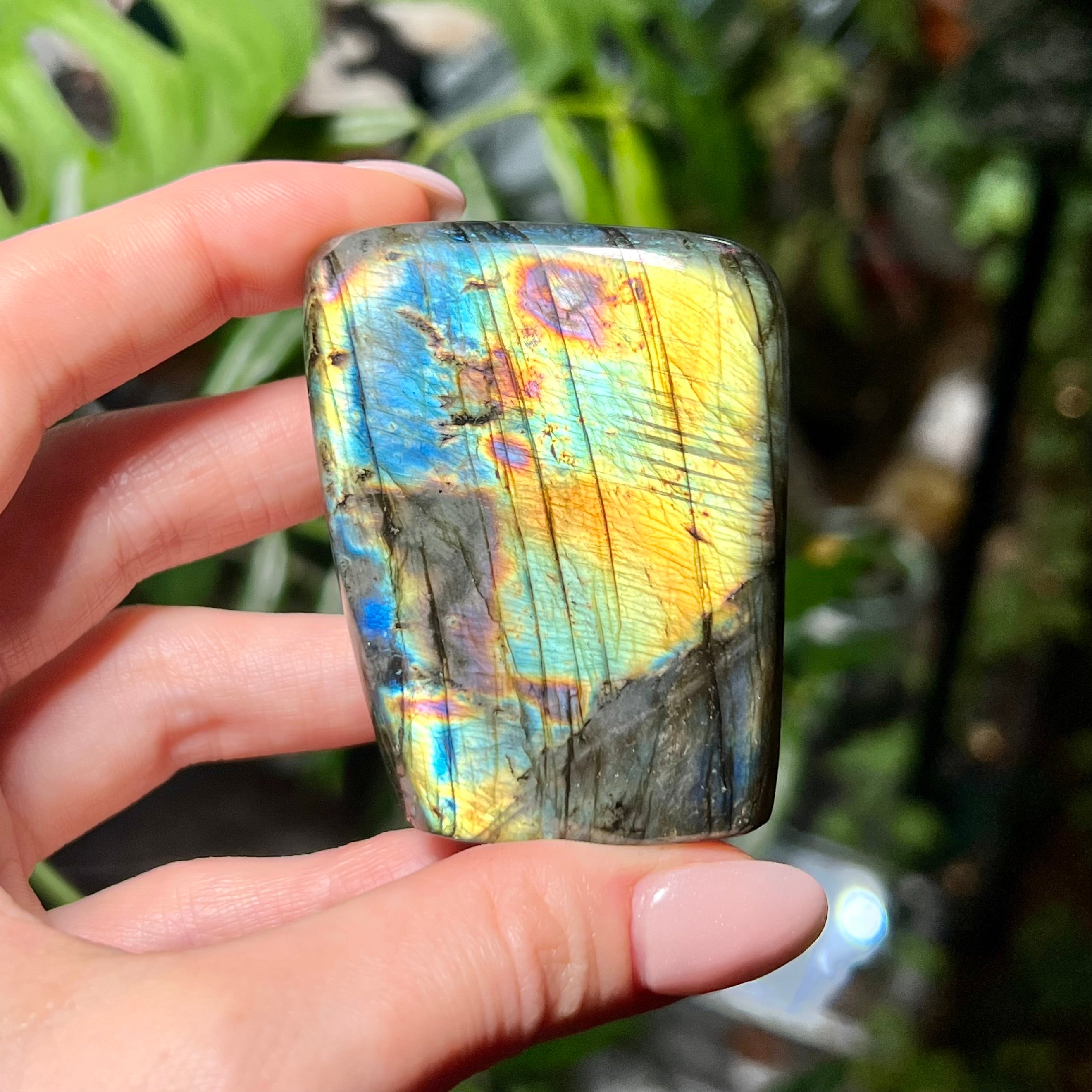 Labradorite Free Form