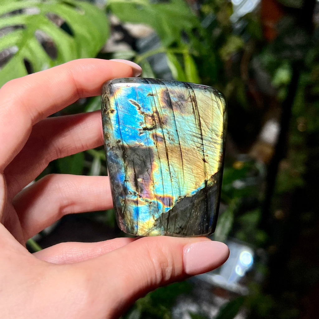 Labradorite Free Form
